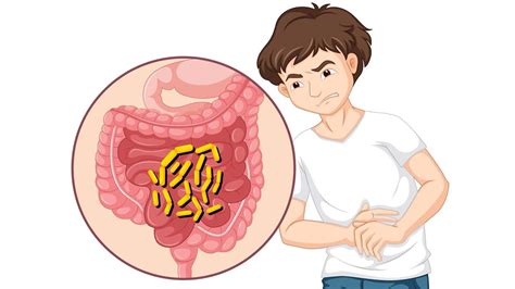 Does Worm Causes Stomach Pain? – NutritionFact.in