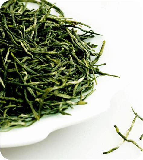 【秀眉绿茶】秀眉绿茶如何泡_喝秀眉绿茶的好处与功效_绿茶说