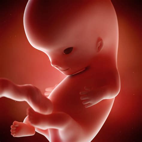 9 Weeks Pregnant: Choosing a Care Provider - Spinning Babies