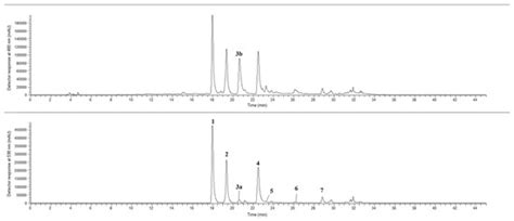 Exploring the Biochemical Profile of Beta vulgaris L.: A Comparative ...