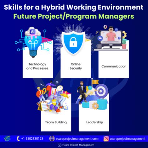 Program Manager Competencies 的图像结果