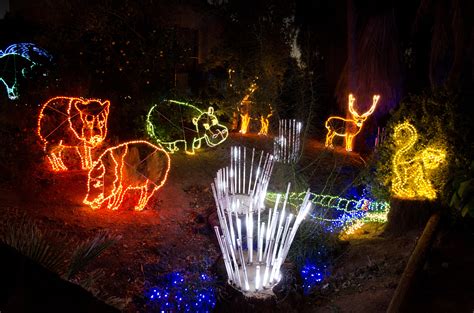 ZooLights at the Phoenix Zoo - Top Places to See in Arizona