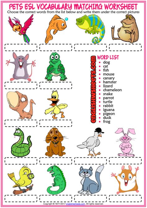 Pets Worksheet 的图像结果