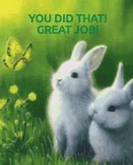 Image result for Funny Bunny Wallpaper