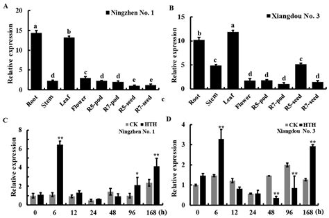 Phenylalanine Ammonia Lyase GmPAL1.1 Promotes Seed Vigor under High ...