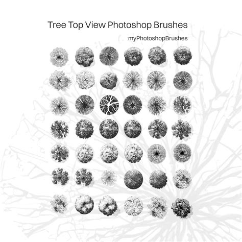 Tree Top View Photoshop Brushes - Free ABR Download | MyPhotoshopBrushes