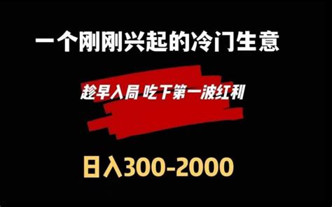 2024年，有哪些冷门的生意可以做呢？推荐几个供参考 - 哔哩哔哩