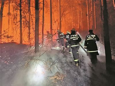 佛山：高明森林山火已全部扑灭 共出动834名消防员_广东频道_凤凰网