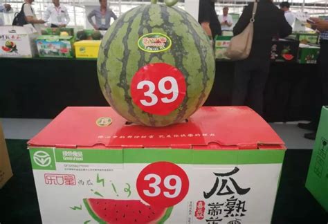 中国西瓜之乡“瓜王”拍卖7500元！吊在半空生长，被誉冰淇淋西瓜 - 知乎