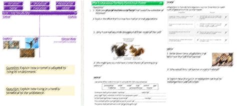 Adaptations KS3 的图像结果
