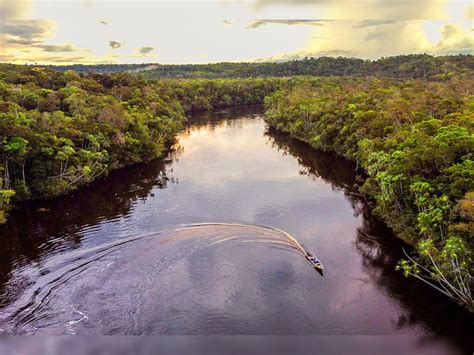 Amazon community fights carbon credit project