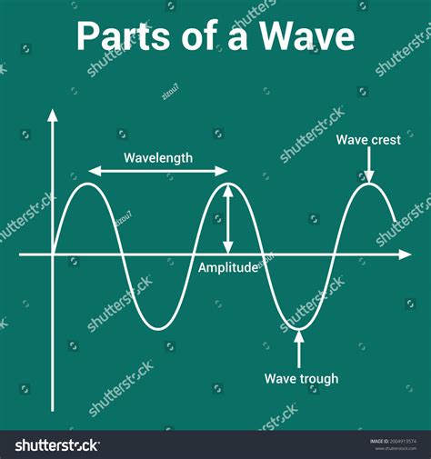 Parts Wave Crest Trough Amplitude Wavelength: เวกเตอร์สต็อก (ปลอดค่า ...