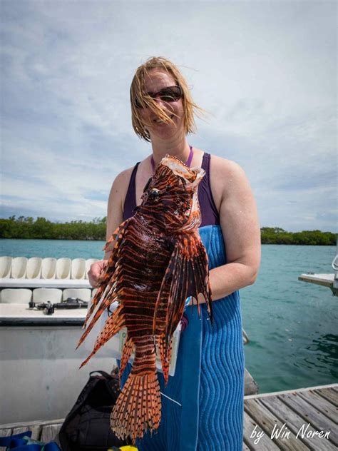 HUGH PARKEY'S BELIZE ADVENTURE LODGE (Belize City) - Lodge Reviews ...