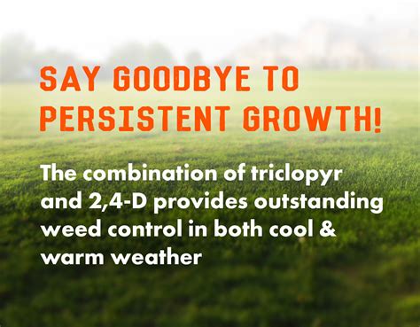 Poison Ivy Killer Herbicide – Pro Brush Control | Sanco | Sanco Industries