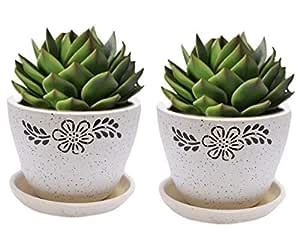SHIPIVISHTAYA Ceramic Handmade Cup Plate Shape Plant Pot Home ...