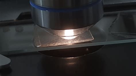 Bacteria in wet mount of culture microscopy Archives - Medical Notes