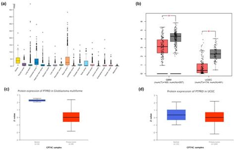 Cancers | Special Issue : Women’s Health and Gynaecological Cancers ...