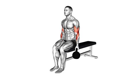 Alternating Bicep Curls