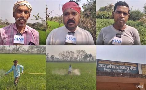 किसानों ने किसान सम्मान निधि योजना को सराहा, पीएम मोदी का जताया आभार ...