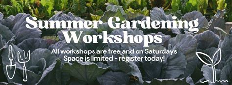 Cloud City Farm Summer Workshop Series: Using Native Plants to Attract ...