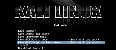 Image result for Kali Linux Persistent USB