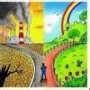 make prepare a collage on environment protection and conservation ...