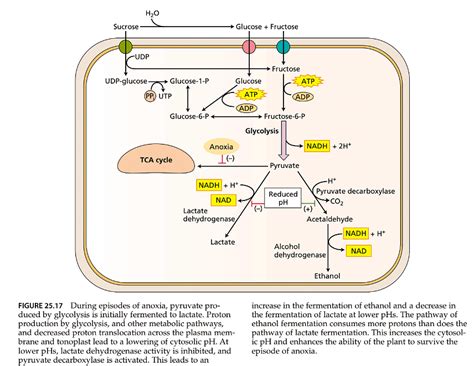 Stress Physiology - UPSC PDF Download