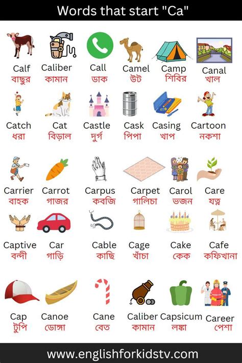 List of Ca words with meaning Vocabulary words with Ca Words that start ...