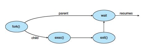 Wait System Call 的图像结果