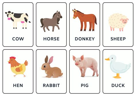Farm Animal Flash Cards: Learn and Discover