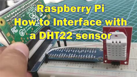 DHT22 Sensor Tutorial 的图像结果
