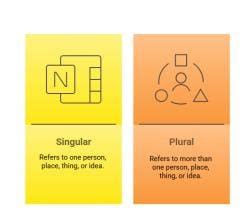 Singular and Plural Nouns - Basic English Grammar for Competitive Exams