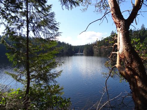 Whistle Lake - Anacortes — Washington Trails Association