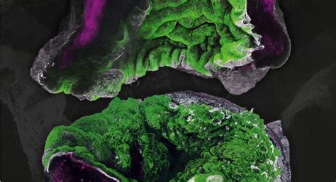 Nature Physics 的图像结果