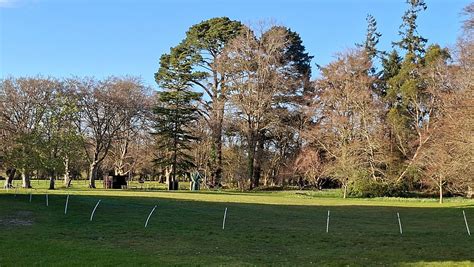 FOXLEASE PARK - 2026 Pension Reviews & Photos (Lyndhurst, New Forest ...