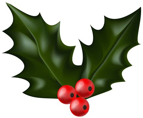 Christmas Clip art - Christmas Holly Mistletoe PNG Clip Art png ...