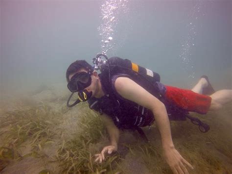 ENCANTO DIVERS (Caguas) - 2022 What to Know Before You Go