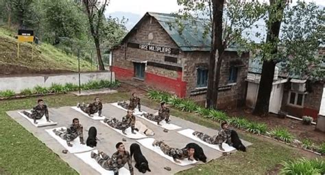 Army dog 'Teena' retires; bids farewell after exemplary service ...