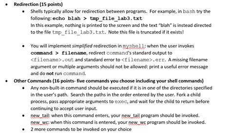 Image result for Custom Shell