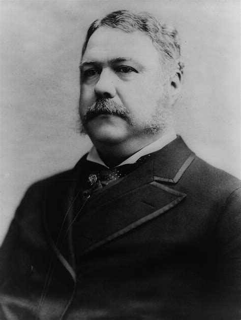 Chester A Arthur 的图像结果