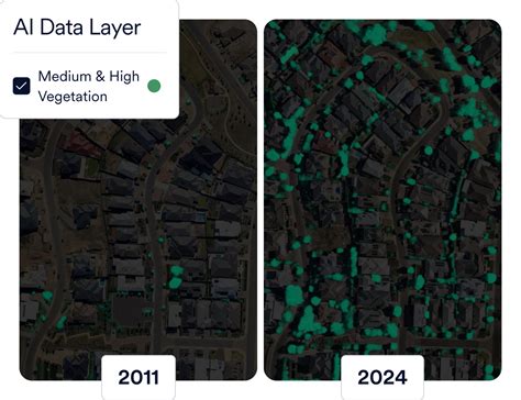 Local Government Area Map 的图像结果