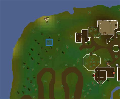 OSRS Hunter Guide: From Basics to 99