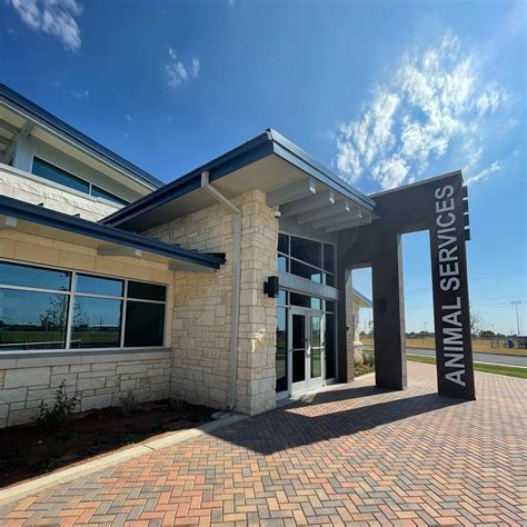 News Flash • Animal Services again plagued by capacity issue