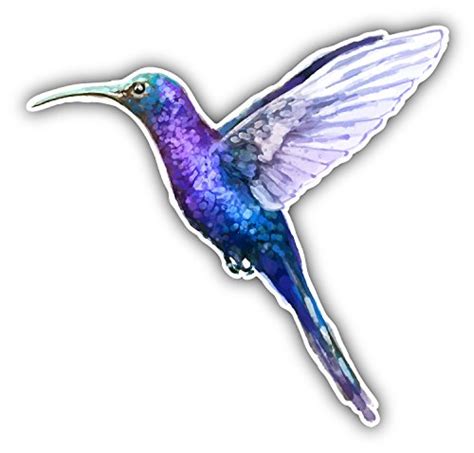 novland Colibri Watercolor Bird Car Bumper Sticker Decal 5'' x 5 ...
