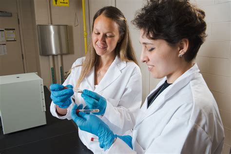 Biomedical Engineering Research 的图像结果