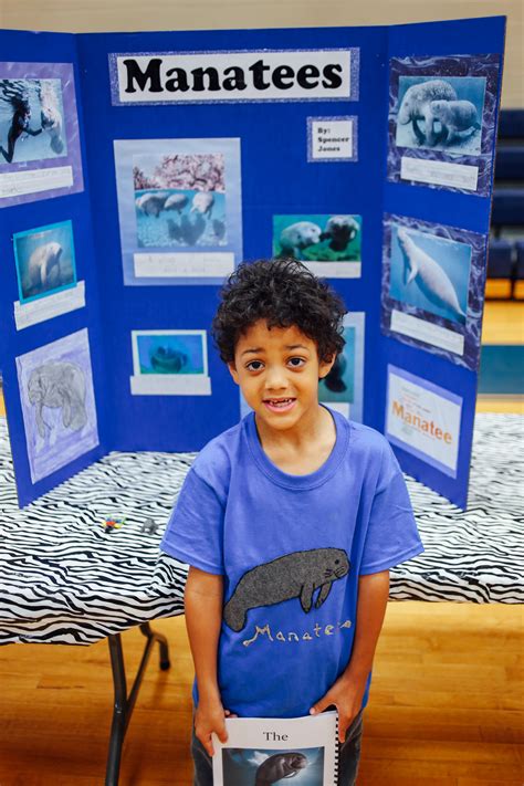 3rd Grade Science Fair Projects 的图像结果