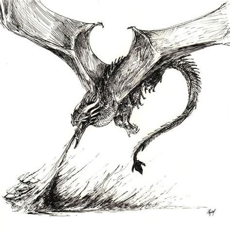dragon drawing zhc