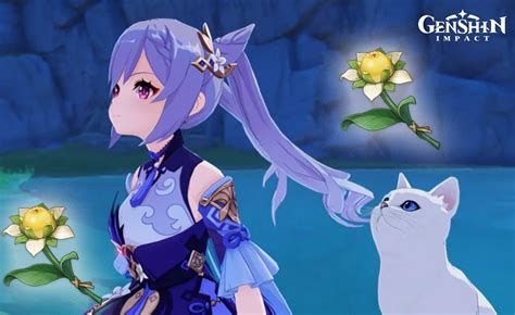 Sweet Flower Genshin Impact: Best Farm Route And Gardening Tips