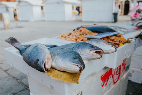 Is Fish Halal? A Complete Guide to Seafood in Islam