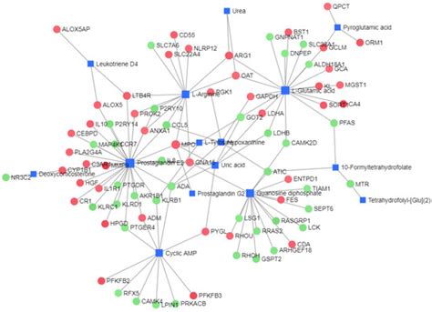 LC-MS/MS-Based Serum Metabolomics and Transcriptome Analyses for the ...
